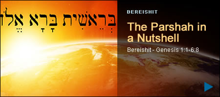 Bereishit In A Nutshell - Texts & Summaries - Parsha